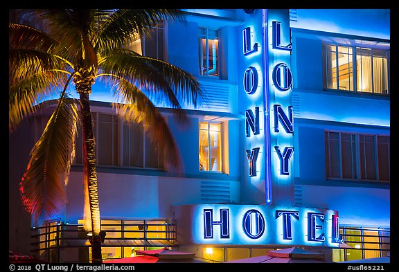 Palm tree and neon light on hotel facade, Miami Beach. Florida, USA (color)