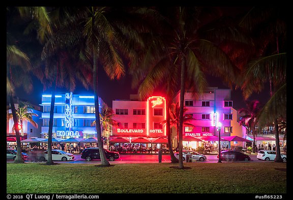 Palm trees and row of Art Deco hotels at night, Miami Beach. Florida, USA