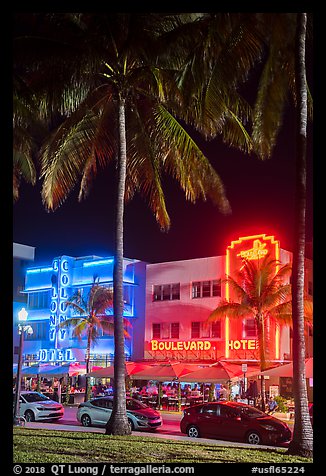 Palm treess and South Beach District Art Deco hotels at night, Miami Beach. Florida, USA (color)