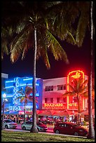 Palm treess and South Beach District Art Deco hotels at night, Miami Beach. Florida, USA ( color)