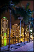Palm trees, Miami Riverwalk, Brickell at night, Miami. Florida, USA ( color)