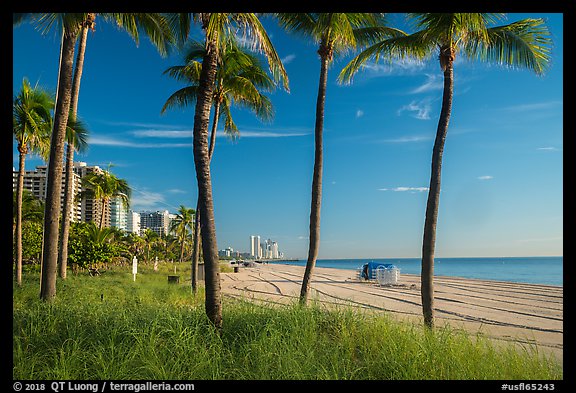 Ocean beach, North Beach, Miami Beach. Florida, USA (color)