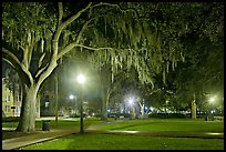 Square by night with Spanish Moss hanging from oak trees. Savannah, Georgia, USA (color)