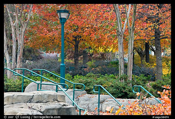 Railings, lamp, and trees in autumn colors, Centenial Olympic Park. Atlanta, Georgia, USA (color)