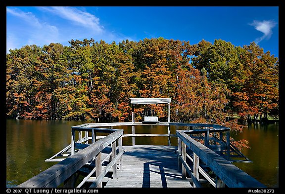 Boardwalk and cypress,  Lake Providence. Louisiana, USA
