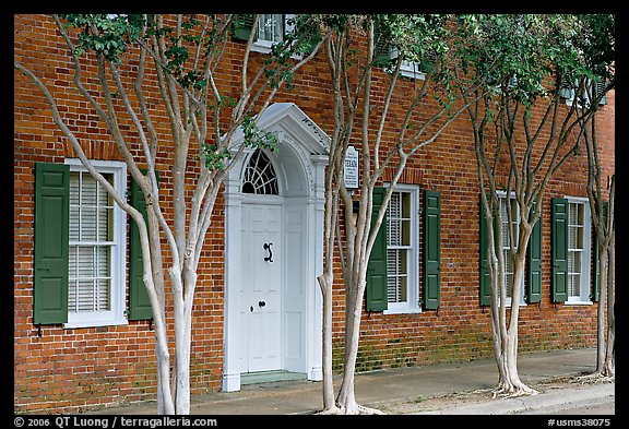 Rows of trees and Texada house. Natchez, Mississippi, USA (color)