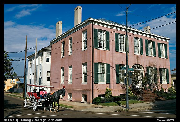 Horse carriage in the historic district. Natchez, Mississippi, USA