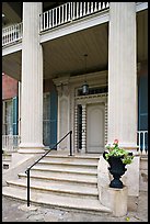 Entrance stairs, door, and columns, Magnolia Hall. Natchez, Mississippi, USA (color)