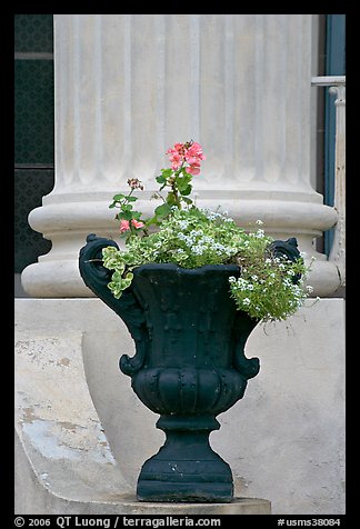 Vasque and column, Magnolia Hall. Natchez, Mississippi, USA (color)