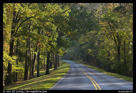 Roadway in forest. Natchez Trace Parkway, Mississippi, USA (color)