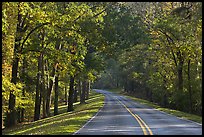 Roadway in forest. Natchez Trace Parkway, Mississippi, USA