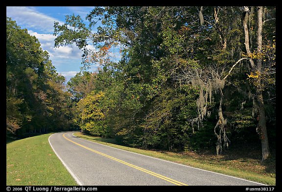 Road curve bordered by tree with Spanish Moss. Natchez Trace Parkway, Mississippi, USA