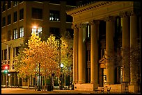 Trees in fall colors and greek revival building at night. Jackson, Mississippi, USA