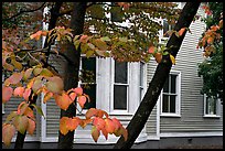 Leaves and house detail. Columbia, South Carolina, USA (color)