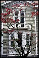 Tree in fall color and house. Columbia, South Carolina, USA