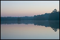 Lake at dawn. South Carolina, USA ( color)