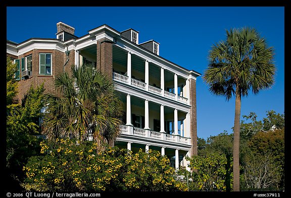 Antebellum house and palm tree. Charleston, South Carolina, USA