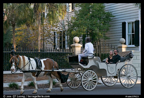 Couple on horse carriage tour of historic district. Charleston, South Carolina, USA (color)