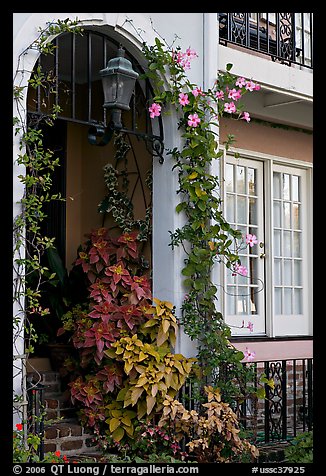 Flowered home entrance. Charleston, South Carolina, USA (color)