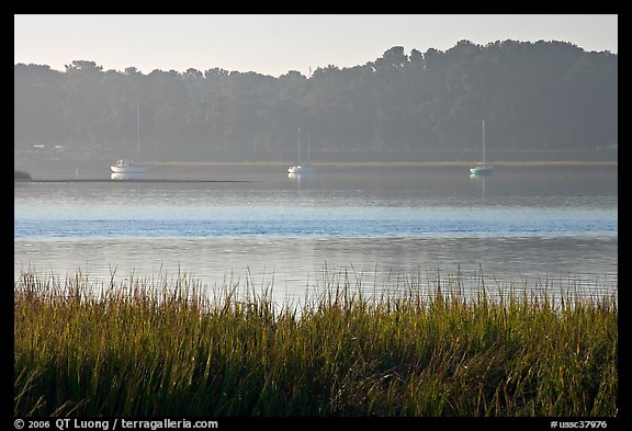 Beaufort Bay, with grasses and yachts. Beaufort, South Carolina, USA