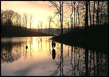 Sunrise over a pond. Tennessee, USA (color)
