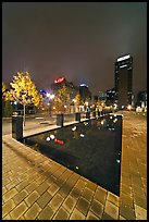 Refecting basin and skyline by night. Nashville, Tennessee, USA (color)