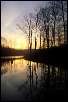 Sunrise over a pond. Tennessee, USA ( color)
