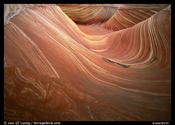 Ondulating stripes, the Wave. Vermilion Cliffs National Monument, Arizona, USA