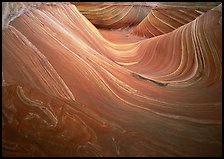 Ondulating stripes, the Wave. Vermilion Cliffs National Monument, Arizona, USA