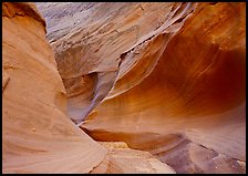 Water Holes Canyon. Arizona, USA (color)