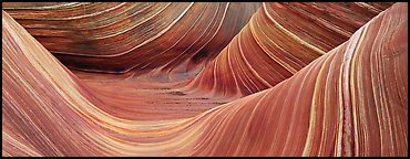 The Wave. Coyote Buttes, Vermilion cliffs National Monument, Arizona, USA (Panoramic color)