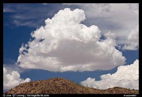 Cloud and ridge with saguaro cactus, Maricopa Mountains. Sonoran Desert National Monument, Arizona, USA