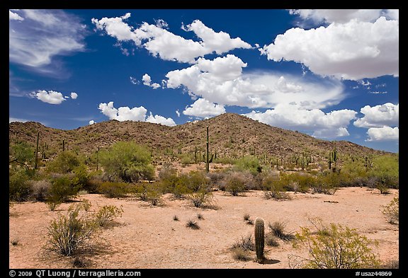 Desert landscape, Maricopa Mountains. Sonoran Desert National Monument, Arizona, USA