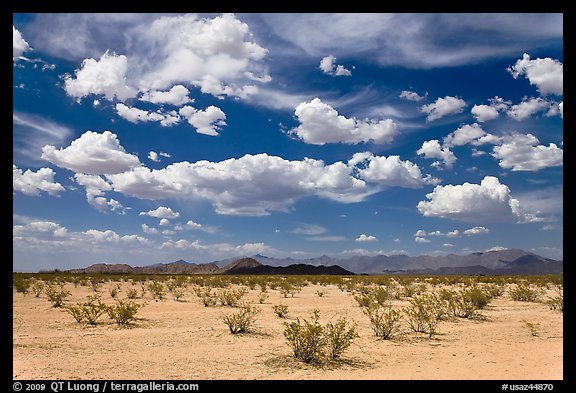 Sandy plain and clouds, South Maricopa Mountains. Sonoran Desert National Monument, Arizona, USA