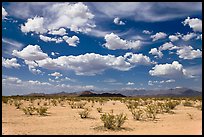 Sandy plain and clouds, South Maricopa Mountains. Sonoran Desert National Monument, Arizona, USA