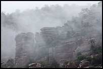 Fog and spires. Chiricahua National Monument, Arizona, USA