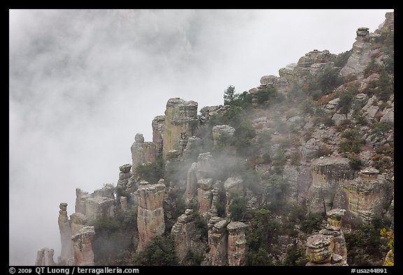 Rock pillars and fog. Chiricahua National Monument, Arizona, USA