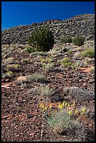 Volcanic hillside. Wupatki National Monument, Arizona, USA