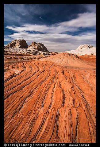 Sandstone swirl, White Pocket. Vermilion Cliffs National Monument, Arizona, USA (color)