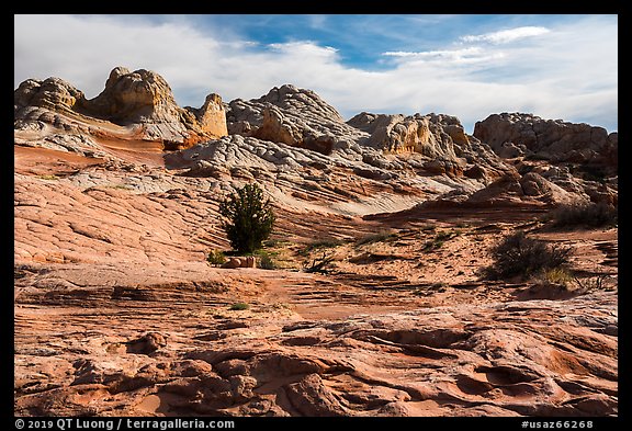 Soft sediment deformation landscape. Vermilion Cliffs National Monument, Arizona, USA