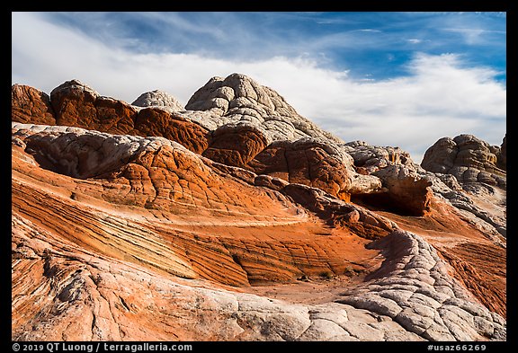 White layer above read layer of twisting sandstone. Vermilion Cliffs National Monument, Arizona, USA