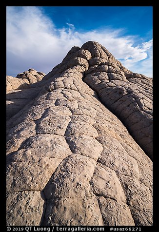 Cauliflower rock, White Pocket. Vermilion Cliffs National Monument, Arizona, USA (color)