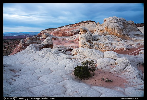 White pocket, evening. Vermilion Cliffs National Monument, Arizona, USA (color)