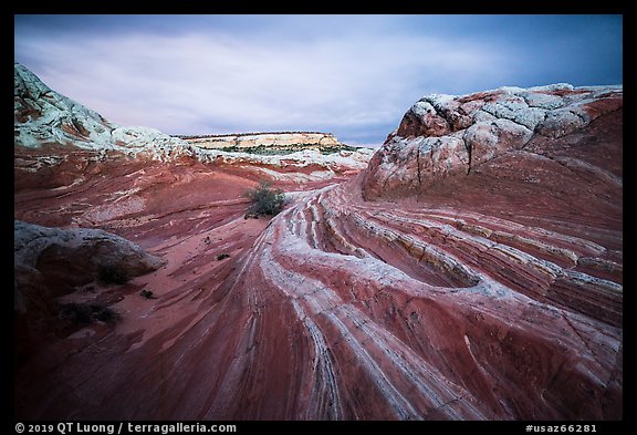 Sandstone streaks, White pocket. Vermilion Cliffs National Monument, Arizona, USA (color)