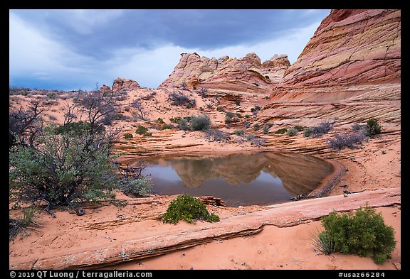 Pond reflecting Cottonwood Teepees. Vermilion Cliffs National Monument, Arizona, USA (color)