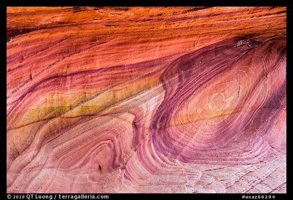 Multicolored swirl, Coyote Buttes South. Vermilion Cliffs National Monument, Arizona, USA (color)
