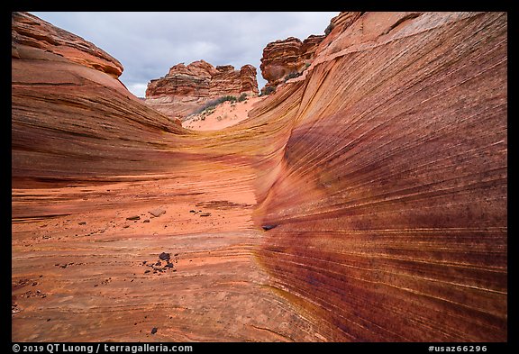 Striated canyon, Third Wave, Coyote Buttes South. Vermilion Cliffs National Monument, Arizona, USA