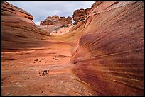 Striated canyon, Third Wave, Coyote Buttes South. Vermilion Cliffs National Monument, Arizona, USA ( color)