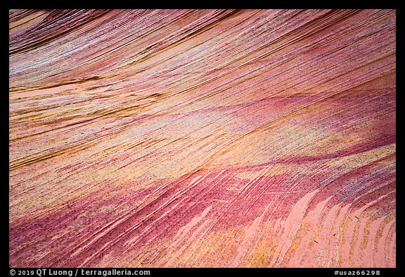 Multicolored striations, Third Wave, Coyote Buttes South. Vermilion Cliffs National Monument, Arizona, USA (color)