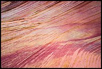 Multicolored striations, Third Wave, Coyote Buttes South. Vermilion Cliffs National Monument, Arizona, USA ( color)
